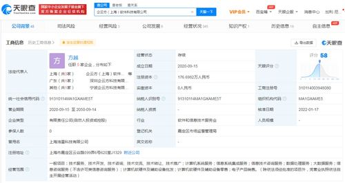 信息技術(shù)咨詢服務(wù) 推動(dòng)企業(yè)數(shù)字化轉(zhuǎn)型的智能引擎